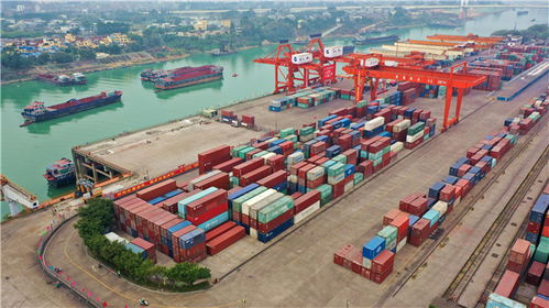 港航新里程 贵港港跃居珠江水系首个内河亿吨大港，助力区域进出口腾飞